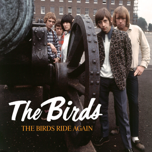 Birds – The Birds Ride Again 5x7" Box Set