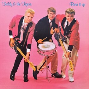 Teddy & The Tigers ‎– Burn It Up CD
