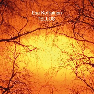 Esa Kotilainen ‎– Tellus LP