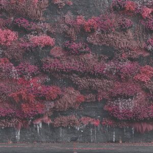 Sleep Token – Even in Arcadia CD