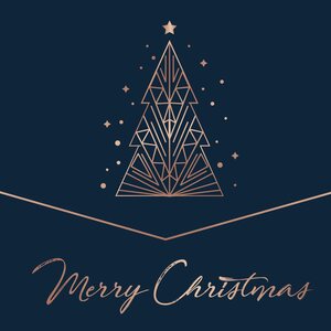 Various Artists – Merry Christmas 2LP