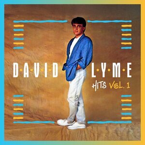 David Lyme – Hits vol.1 12"