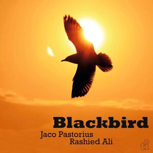 JACO PASTORIUS – Blackbird LP (Green Vinyl)