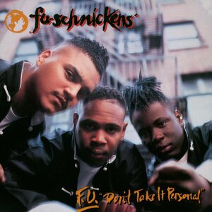 FU-SCHNICKENS – F.U. Don't Take It Personal LP (Black Vinyl)