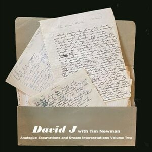 David J With Tim Newman – Analogue Excavations And Dream Interpretations Volume Two LP Coloured Vinyl