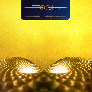 Tool – Fear Inoculum 3LP